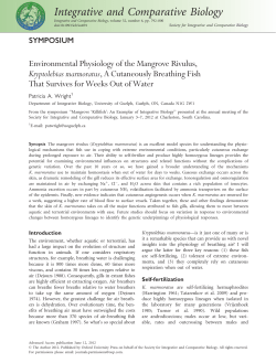 Environmental Physiology of the Mangrove Rivulus, Kryptolebias