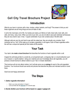 Cell City Travel Brochure Project Introduction
