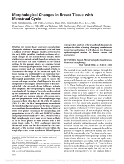 Morphological Changes in Breast Tissue with Menstrual Cycle