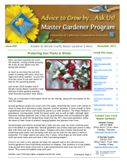 Protecting Your Plants In Winter