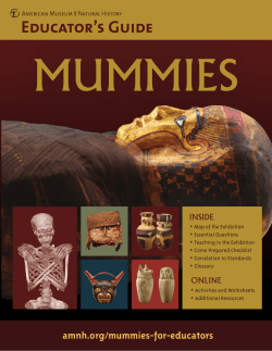 Mummies-educators
