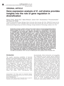 Gene expression analysis of E. coli strains provides insights