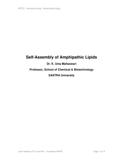 Self-Assembly of Amphipathic Lipids