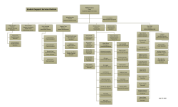 Organizational Chart