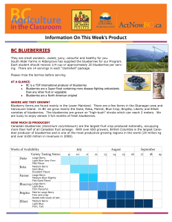 bc blueberries - Agriculture in Classroom Canada