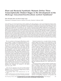 Plant and Bacterial Symbiotic Mutants Define