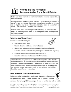 Personal Representative For a Small Estate