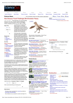 New dinosaur fossil challenges bird evolution theory