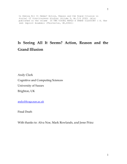 Is seeing all it seems. Action, reason and the grand