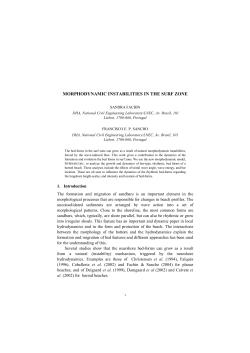 morphodynamic instabilities in the surf zone