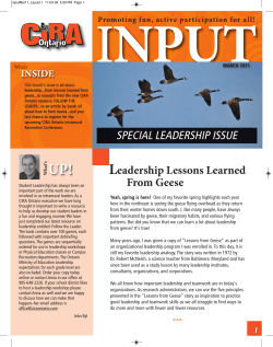 eadership Lessons Learned From Geese SPECIAL LEADERSHIP