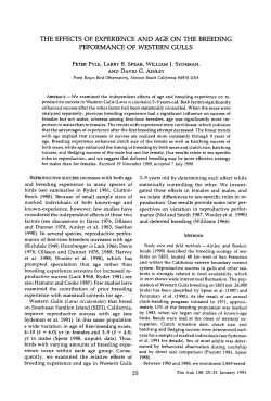 the effects of experience and age on the breeding peformance of