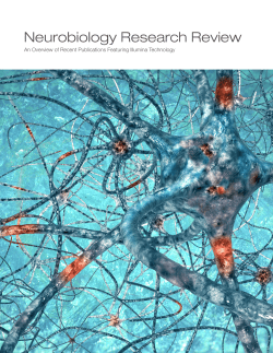 Neurobiology Research Review