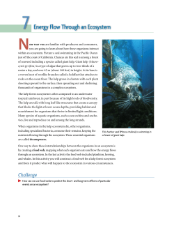 7 Energy flow through an Ecosystem