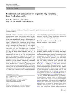 Continental-scale climatic drivers of growth ring variability in an