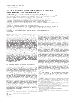 PNC-28, a p53-derived peptide that is cytotoxic to cancer cells