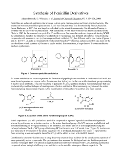 Synthesis of an Amide (Hippuric Acid)