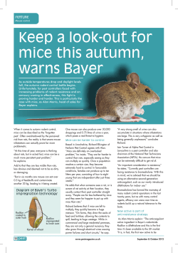 Keep a look-out for mice this autumn, warns Bayer