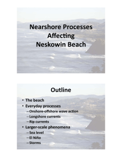 Nearshore Processes Affecting Neskowin