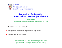 Dynamics of adaptation in sexual and asexual populations