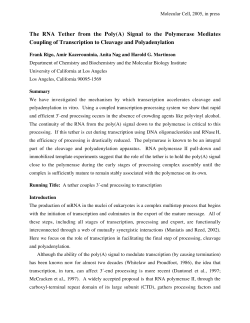 The RNA Tether from the Poly(A) - Biochemistry, Molecular and