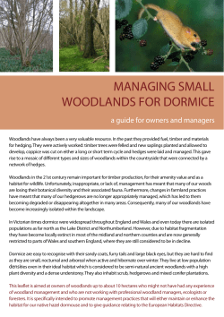 managing small woodlands for dormice