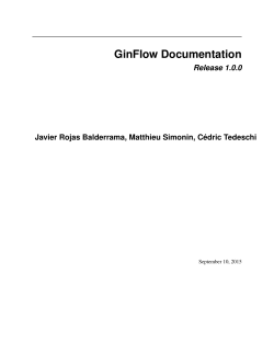 GinFlow Documentation