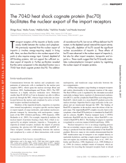 (hsc70) facilitates the nuclear export of the import receptors