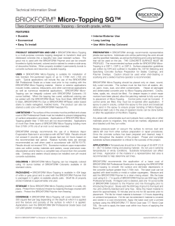 Micro-Topping SG TIS