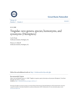 new genera, species, homonyms, and synonyms (Hemiptera)