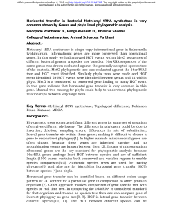 Horizontal transfer in bacterial Methionyl tRNA synthetase