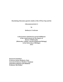 Elucidating ribosomes-‐genetic studies of the ATPase