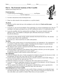 Part 1: The External Anatomy of the Crayfish