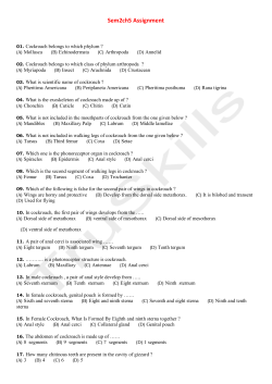 Sem2ch5 Assignment
