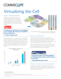 Cell virtualization brief