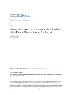 Mercury dynamics in sediments and the foodweb of the Detroit River