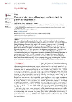Maximum relative speeds of living organisms: Why do