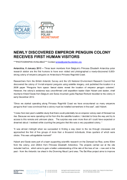NEWLY DISCOVERED EMPEROR PENGUIN COLONY RECEIVES