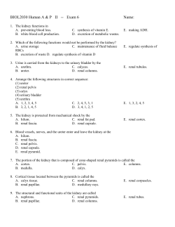 Old exam