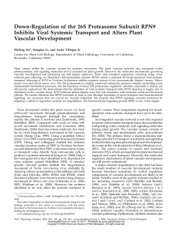 Down-Regulation of the 26S Proteasome Subunit