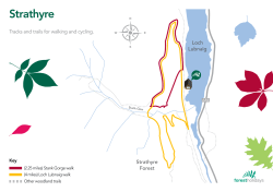 Strathyre - Forest Holidays