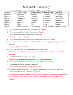 Station #1: Taxonomy
