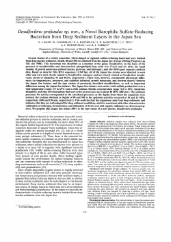 Desulfovibrio profundus sp. nov., a Novel Barophilic Sulfate