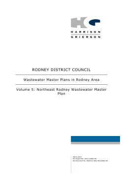 rodney district council