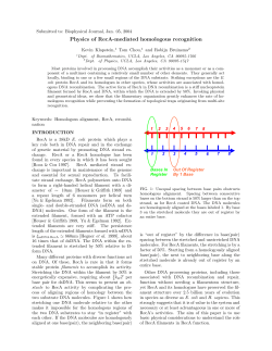 Physics of RecA-mediated homologous recognition