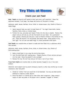 Create your own Fossil