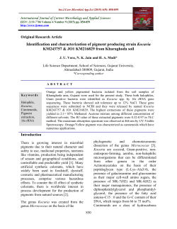 Identification and characterization of pigment producing strain