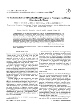 The Relationship Between Oil Gland and Fruit