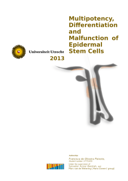 Cover Multipotency, Differentiation and Malfunction of Epidermal