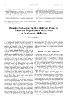 Ranging behaviour in the Malayan Peacock